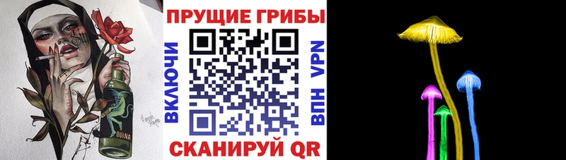 купить цена Омск Псилоцибиновые грибы Psilocybine cubensis