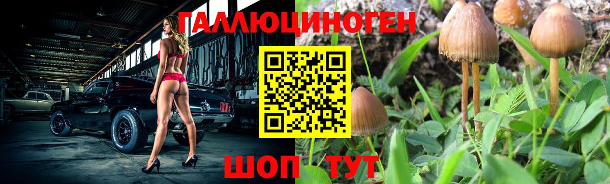 Галлюциногенные грибы Psilocybe  Псилоцибиновые грибы Psilocybe  Омск  Вход с VPN 