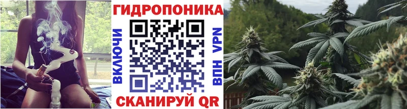 Канабис ГИДРОПОН  купить наркотики сайты  Омск 